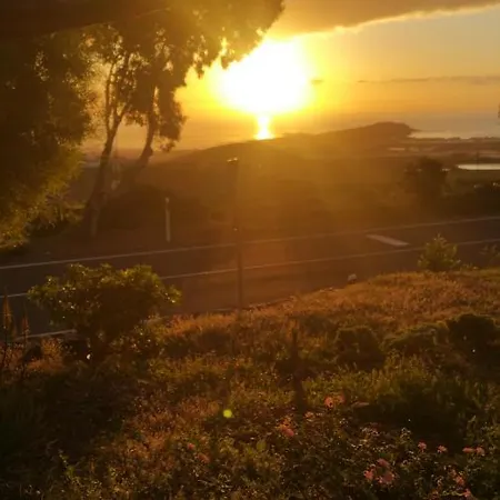 Flor De Loto -finquita Lotusflower * Aguatona