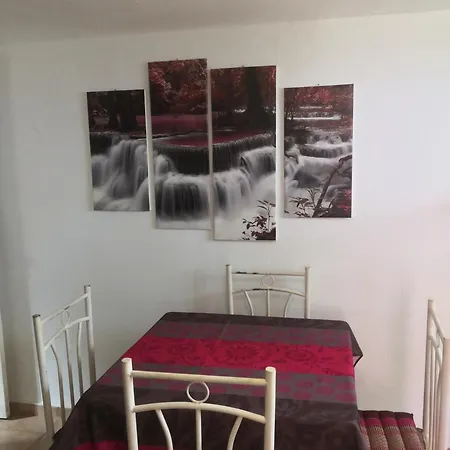 Flor De Loto -finquita Lotusflower *